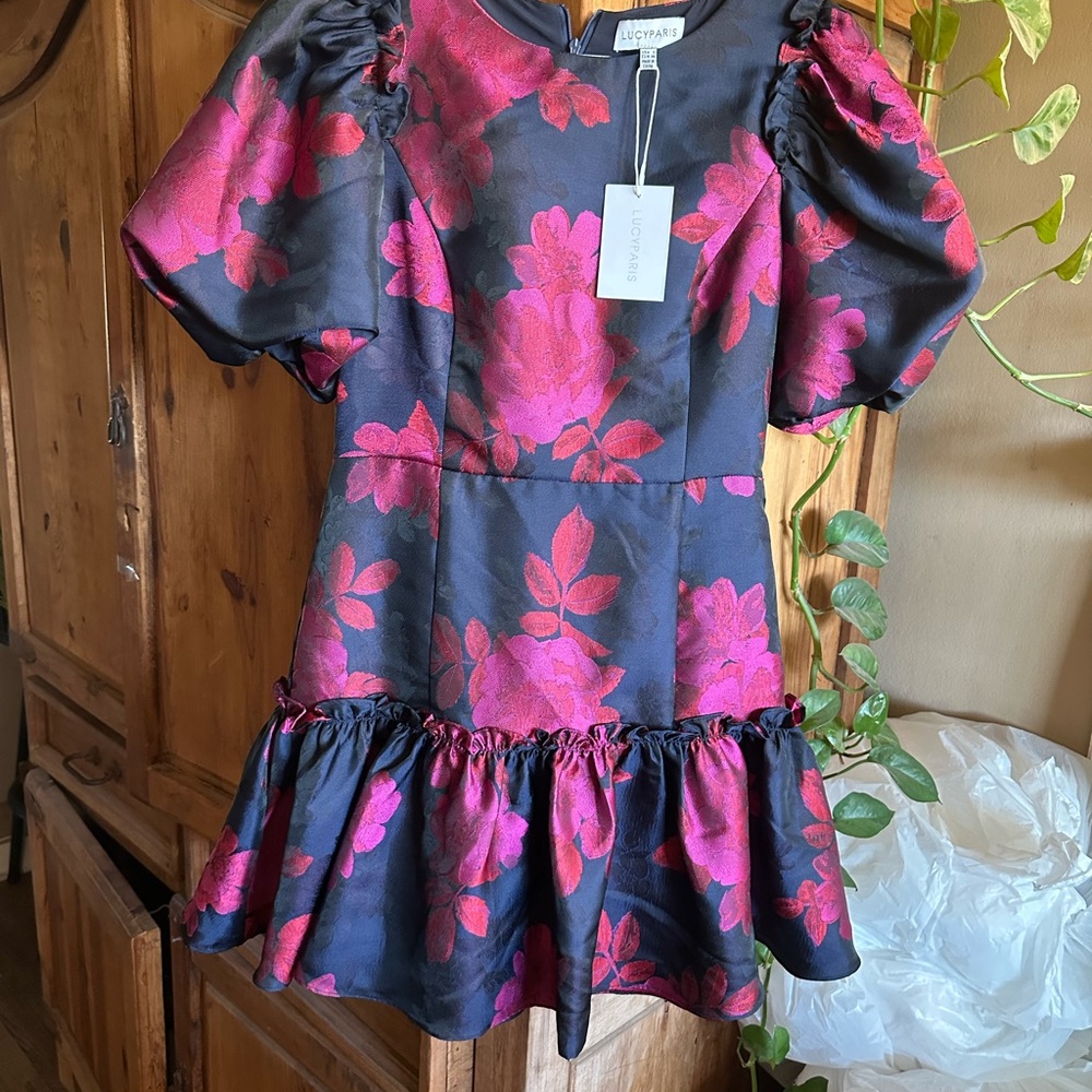 Lucy Paris Black and Pink Floral Dress